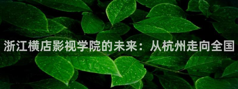 迅播影院电视剧免费观看：浙江横店影视学院的未来：从杭州走向全国