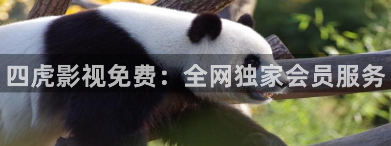 迅播影院在线：四虎影视免费：全网独家会员服务