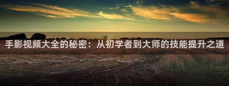 理论片迅播影院：手影视频大全的秘密：从初学者到大师的技能提升之道