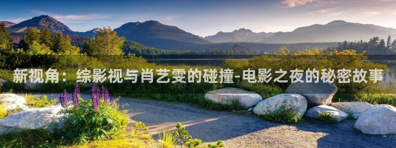 迅播影院官网：新视角：综影视与肖艺雯的碰撞-电影之夜的秘密故事