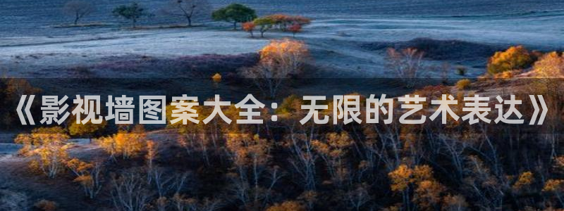 迅播影院vip：《影视墙图案大全：无限的艺术表达》