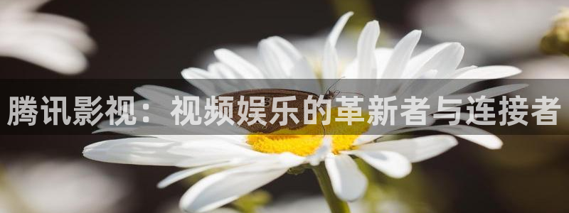 www.迅播影院：腾讯影视：视频娱乐的革新者与连接者
