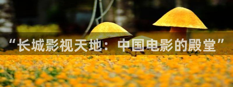 2tucc迅播影院：“长城影视天地：中国电影的殿堂”